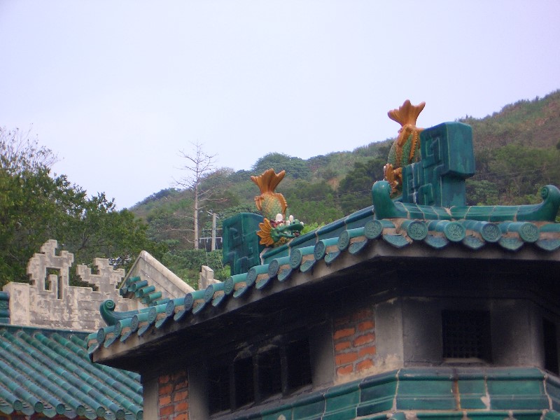 Images/Cimg0384.jpg