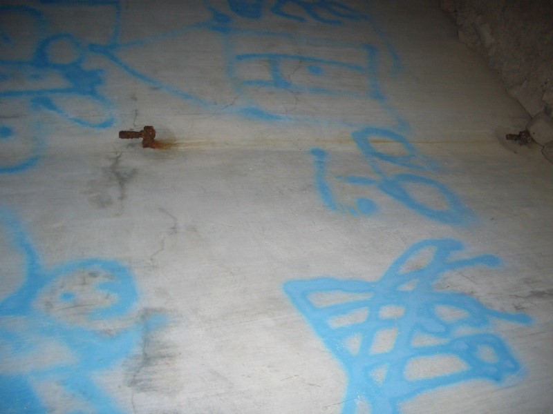 Images/Cimg2225.jpg