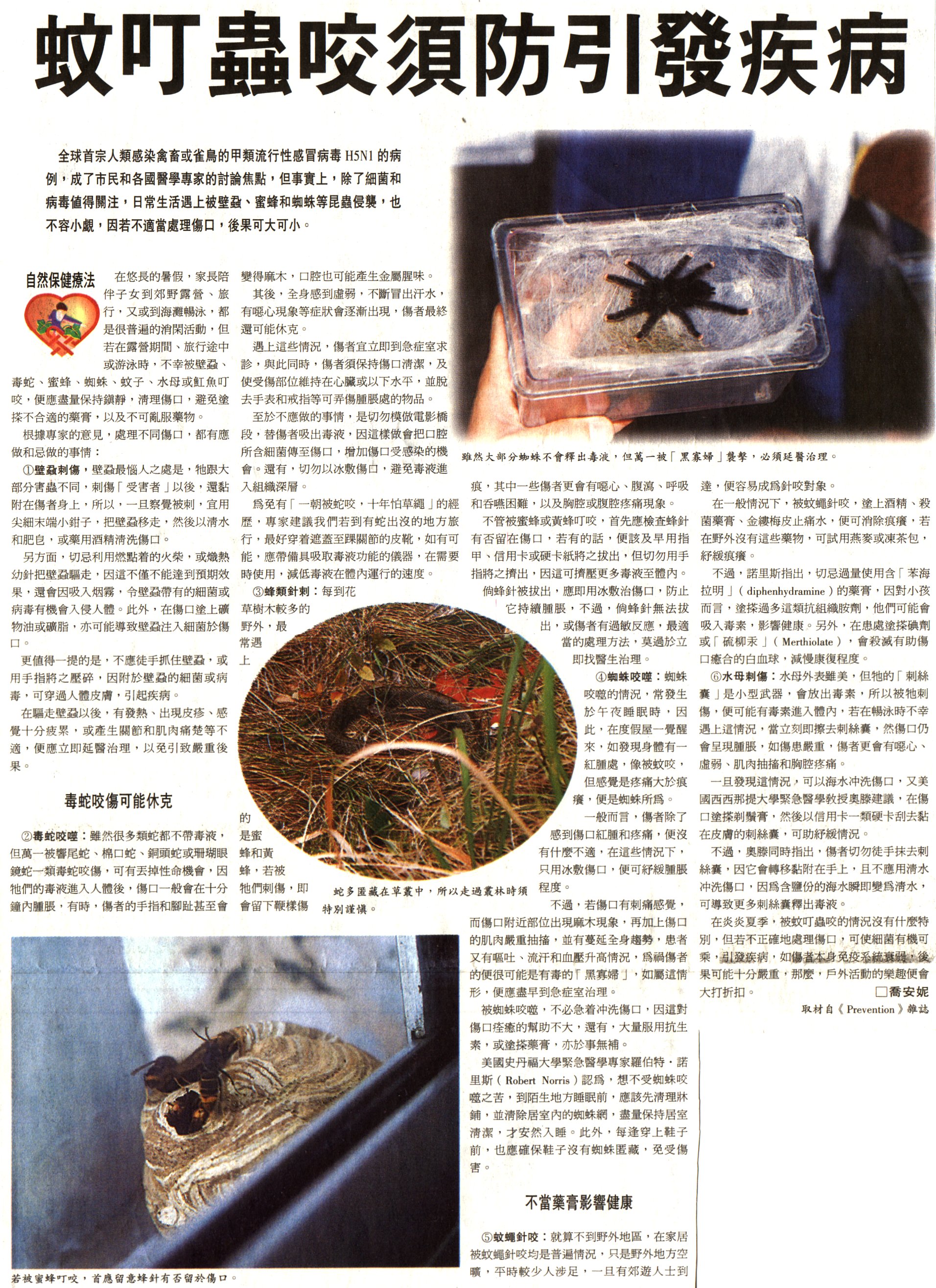 10-11-a.jpg (1187037 bytes)