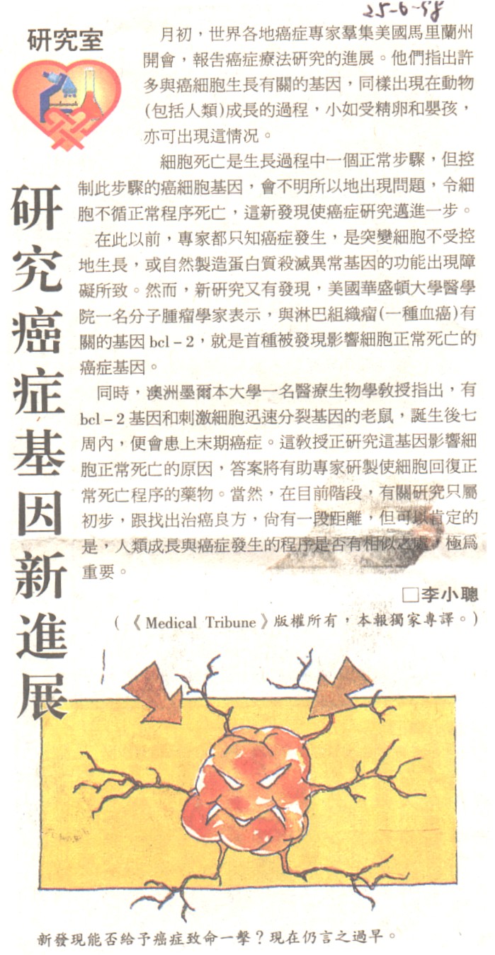 12-13-a.jpg (242068 bytes)