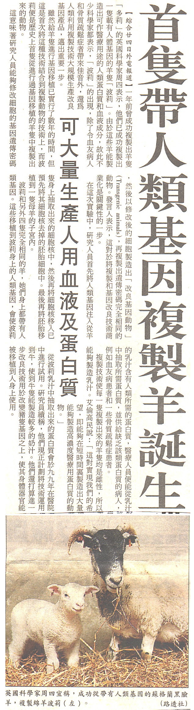 13-14-a.jpg (563742 bytes)