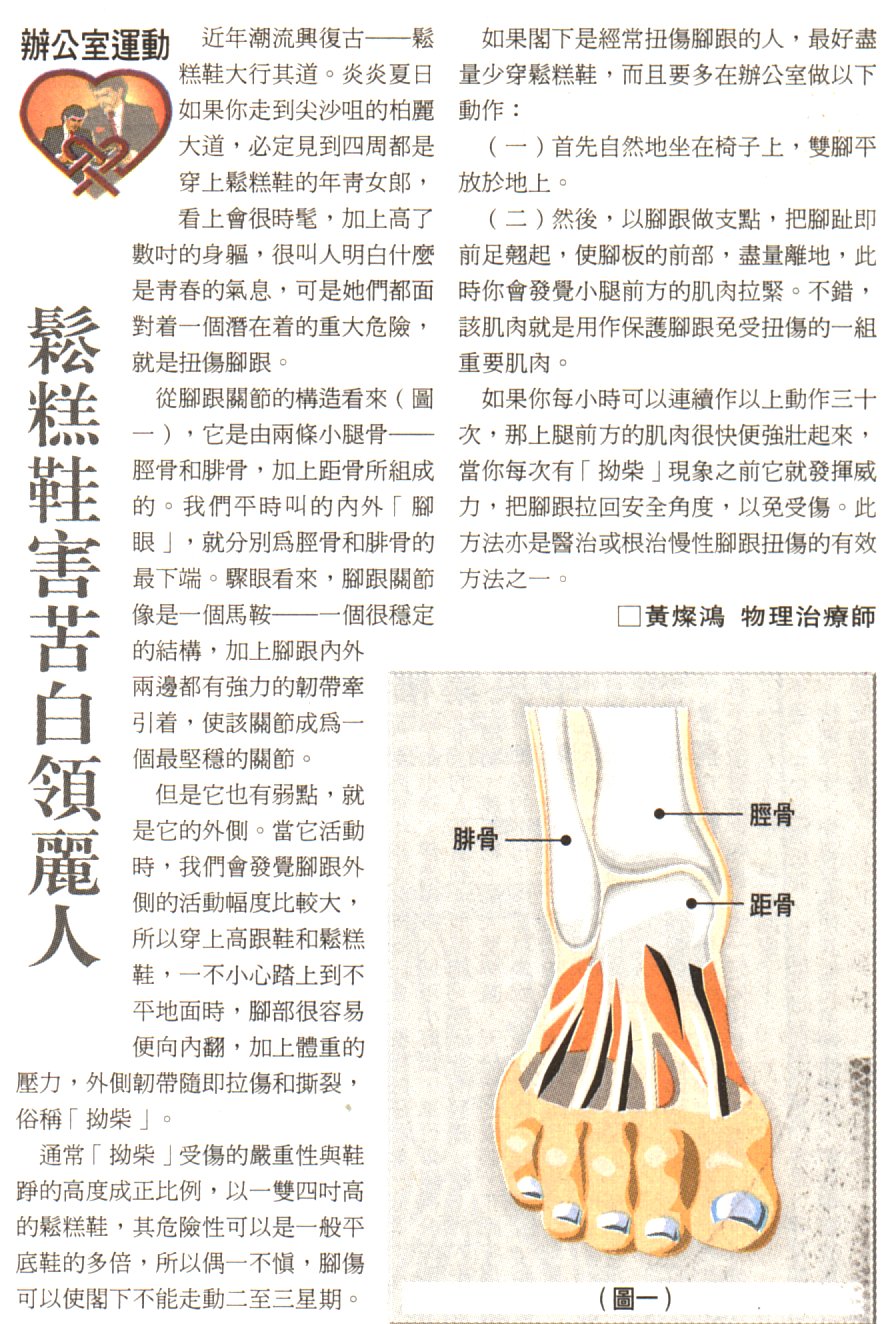 4-8-a.jpg (299877 bytes)