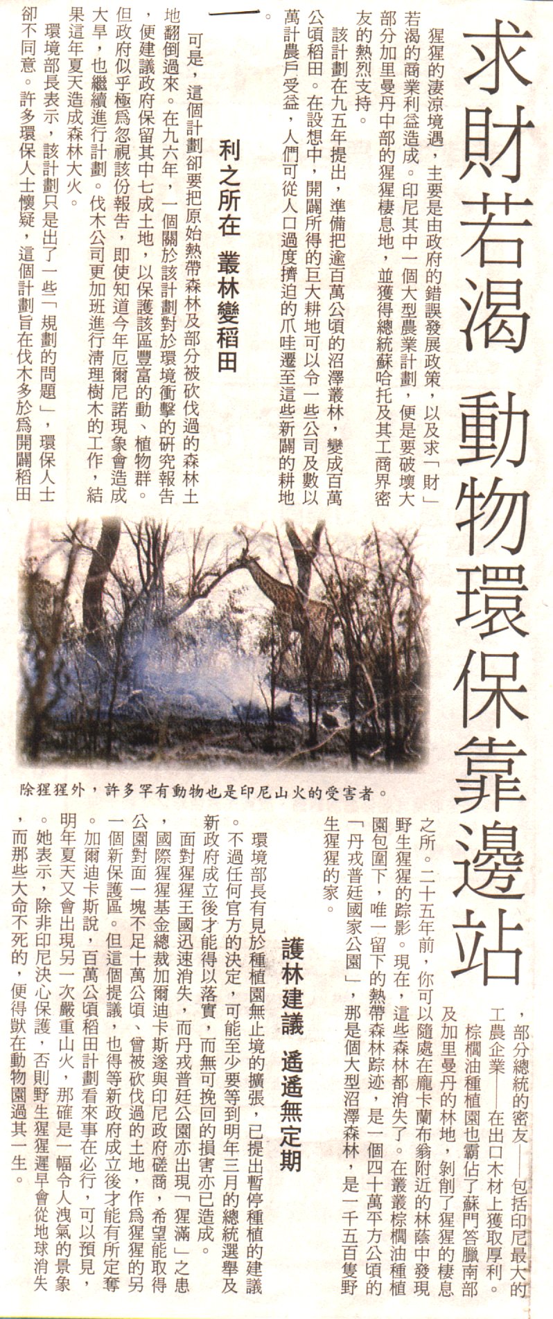 8-13-a.jpg (422397 bytes)