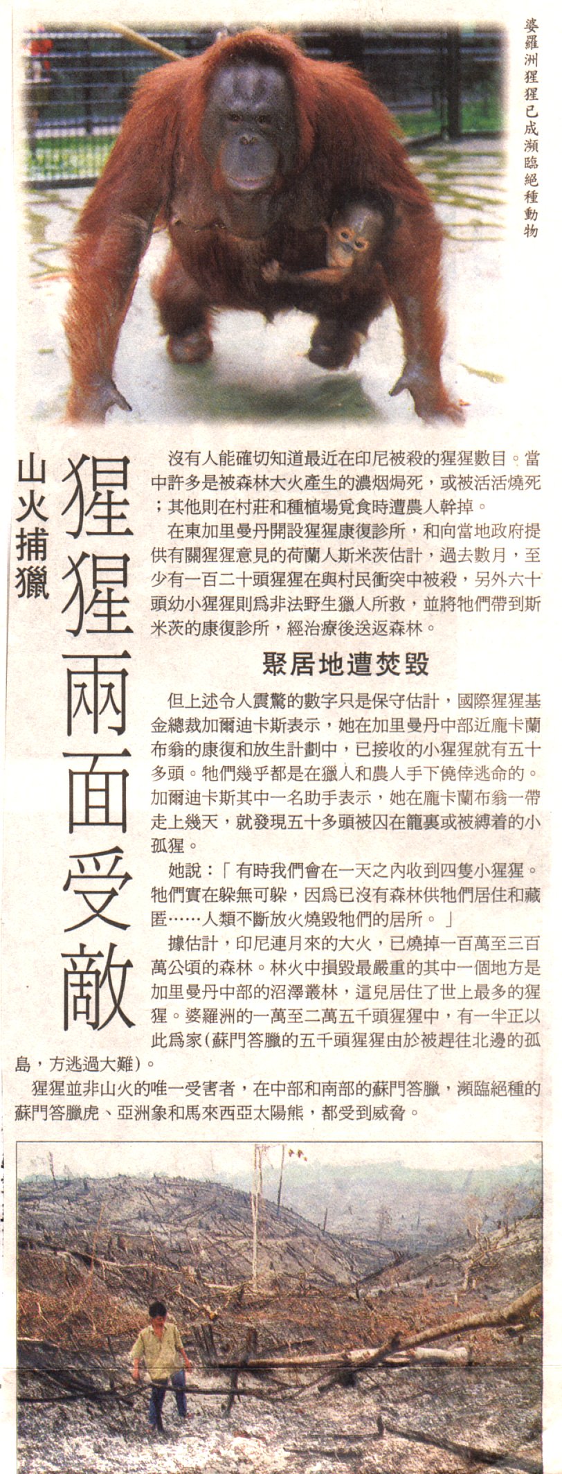 8-14-a.jpg (459642 bytes)