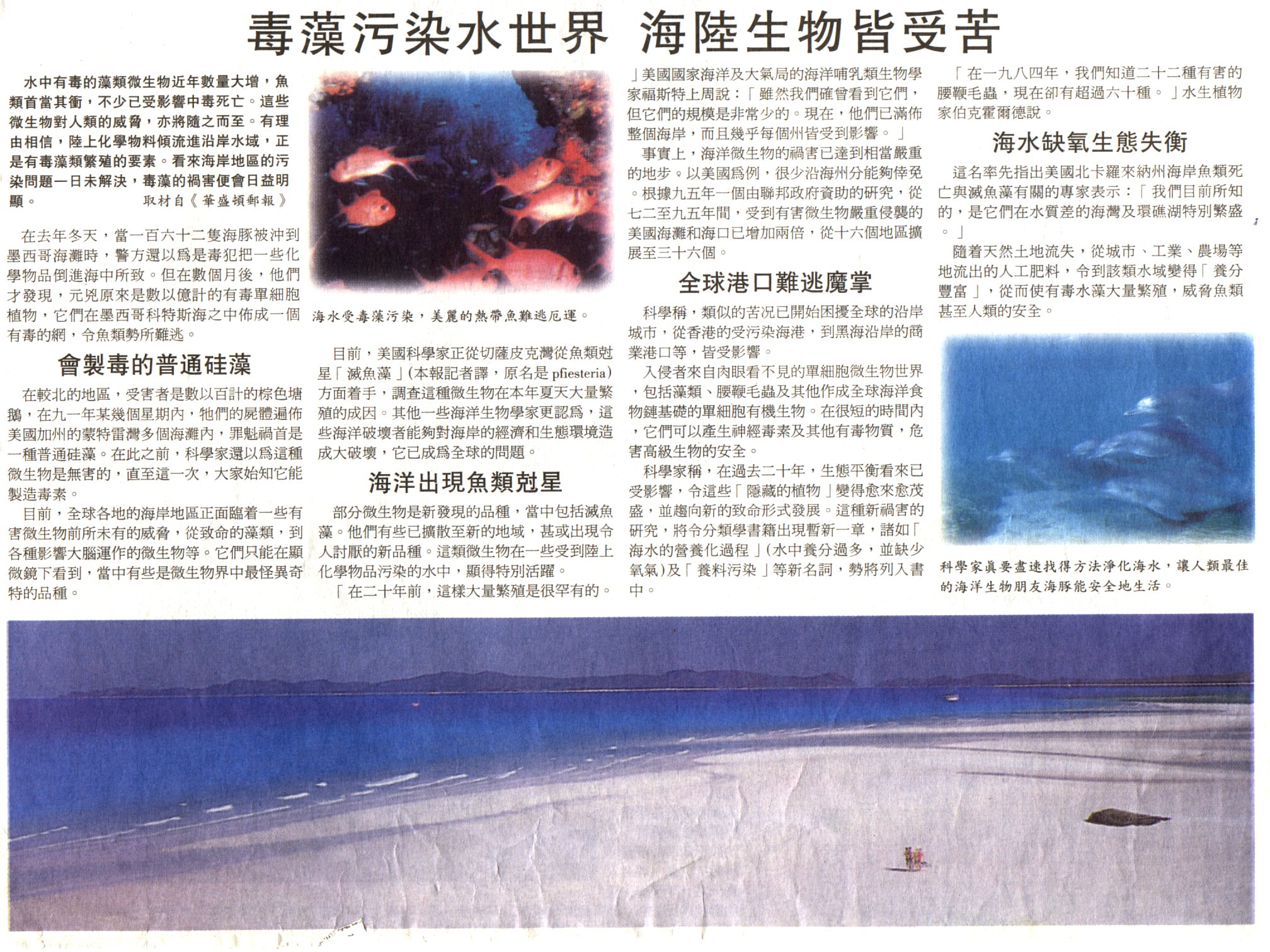 8-18-b.jpg (738036 bytes)