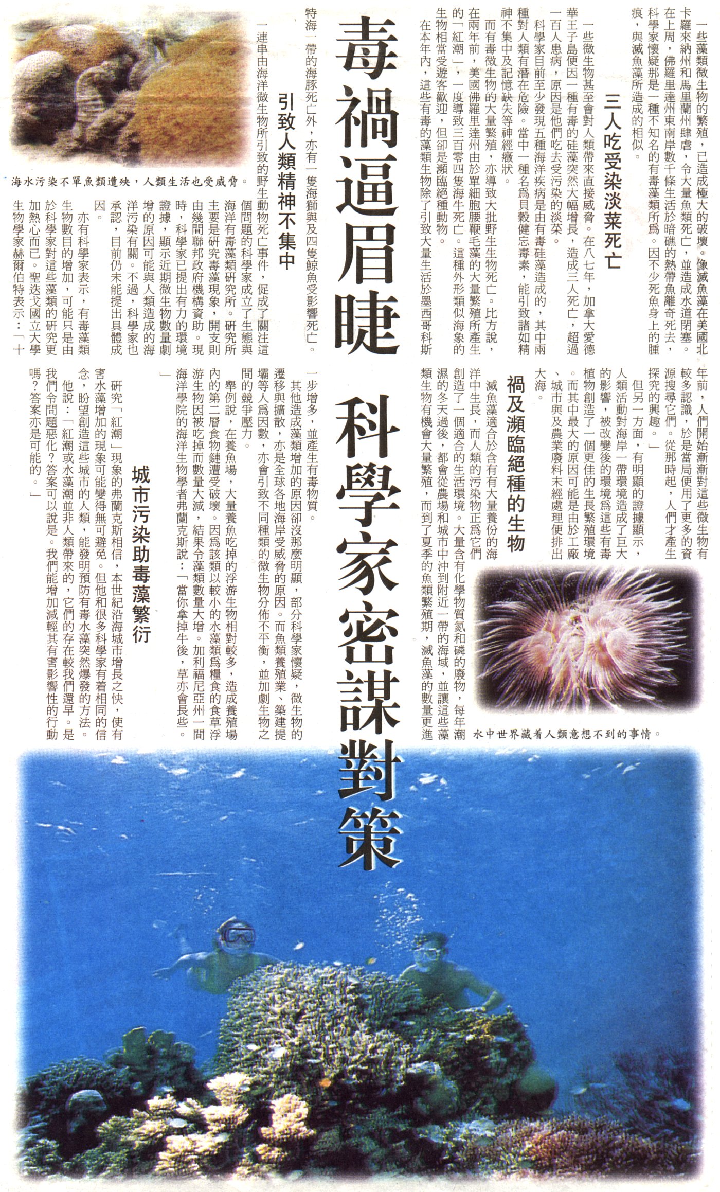 8-19-a.jpg (830481 bytes)