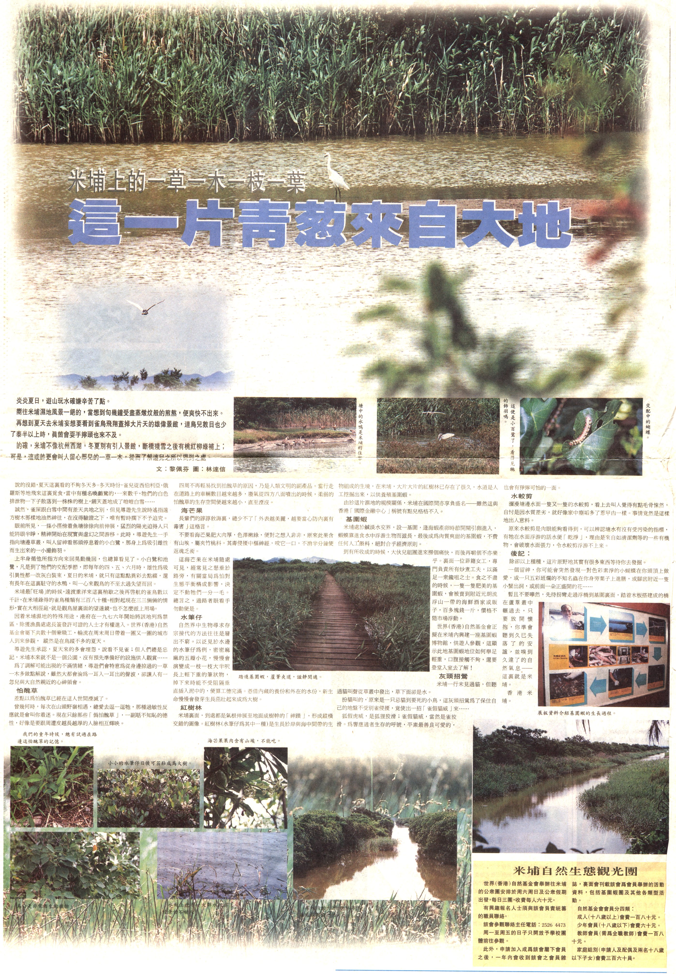 8-6-a.jpg (2595362 bytes)