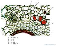 03_���ֳ� TS.jpg