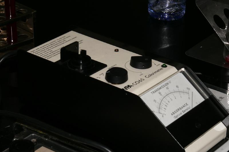 P1060104