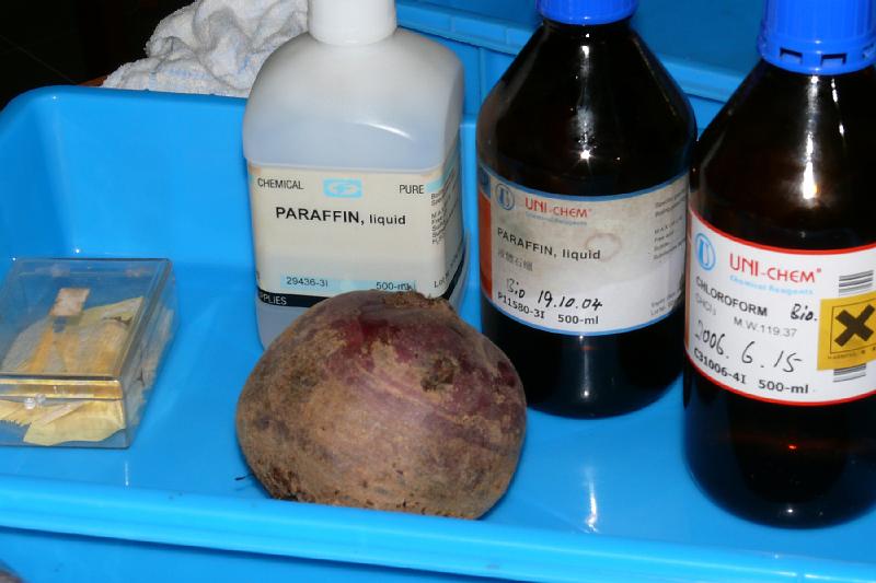 P1060107