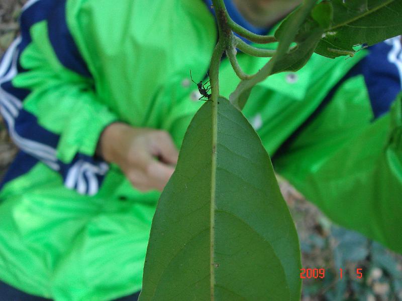 DSC05941a