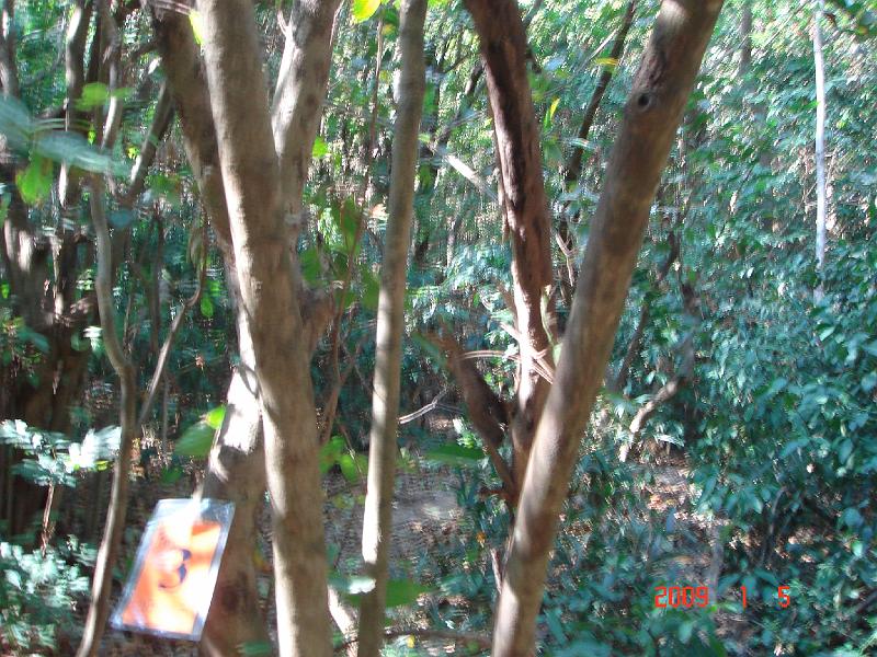 DSC05942a