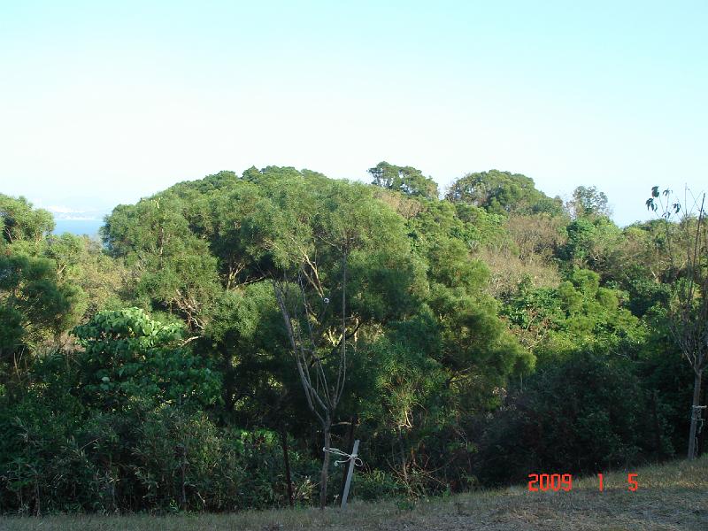 dsc05956