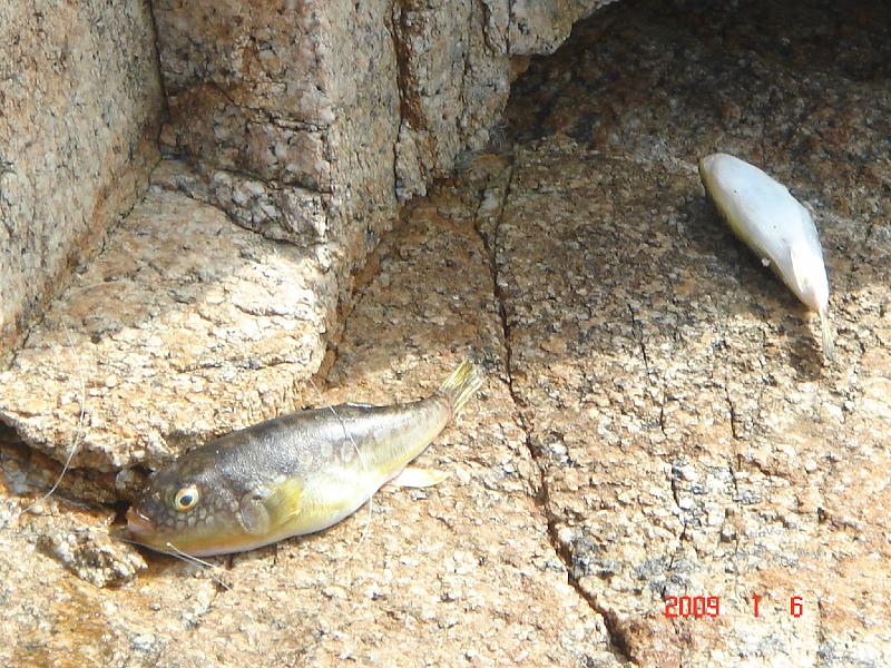 dsc05986