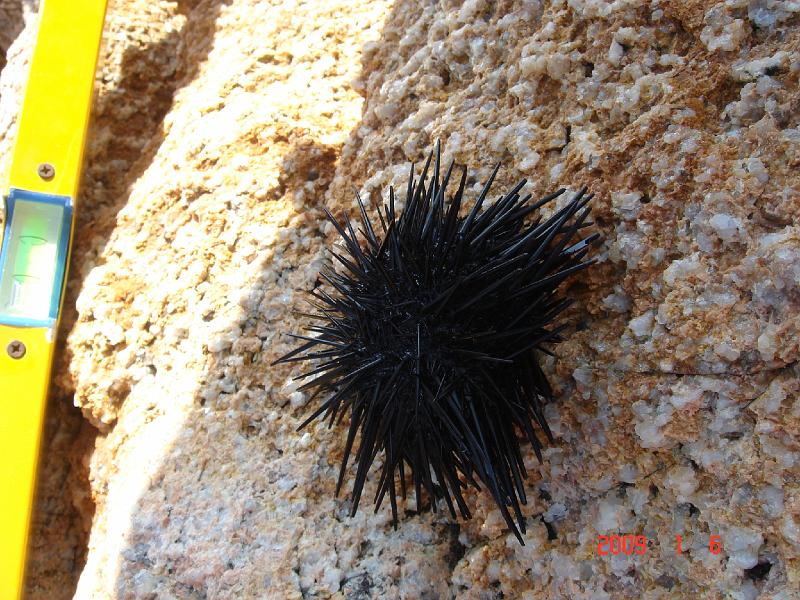 dsc06006