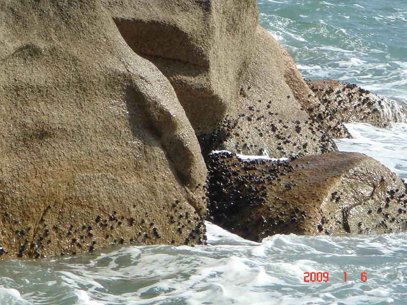 dsc06008