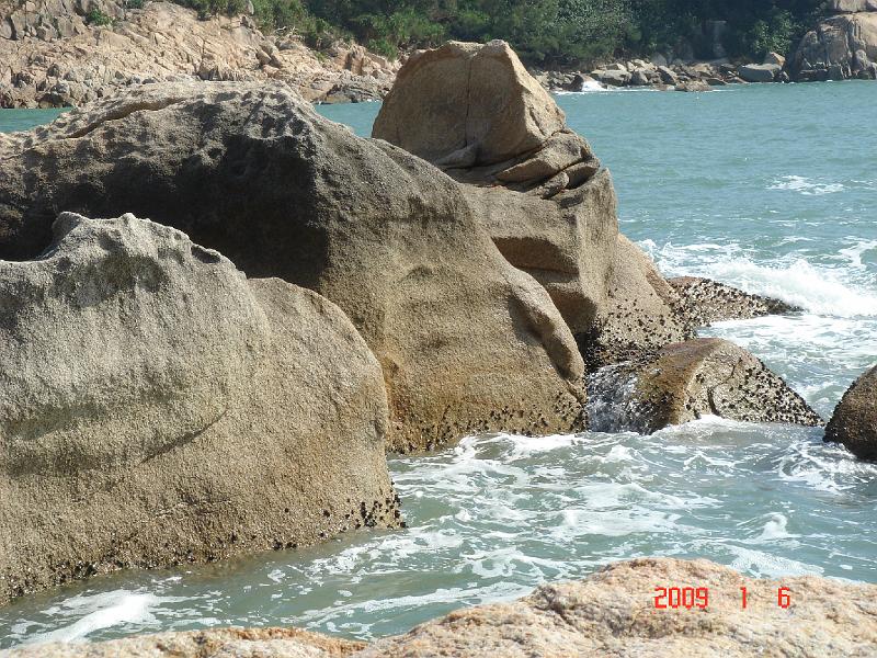 dsc06010
