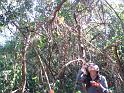 DSC05945a
