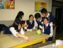 Thumbs/tn_Img_0230.jpg
