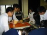 Thumbs/tn_Img_0232.jpg